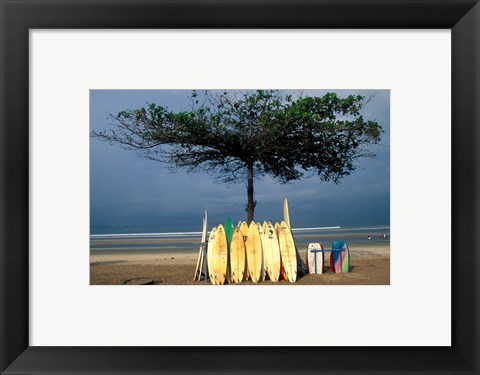 Framed Surfboards Lean Against Lone Tree on Beach in Kuta, Bali, Indonesia Print