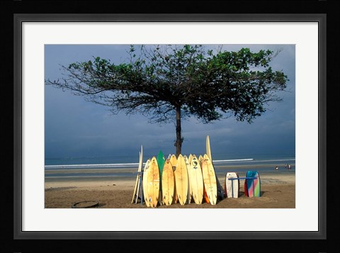 Framed Surfboards Lean Against Lone Tree on Beach in Kuta, Bali, Indonesia Print