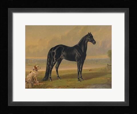 Framed America's Renowned Stallions, c. 1876 I Print