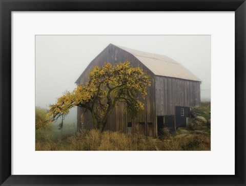 Framed Golden Promises Print