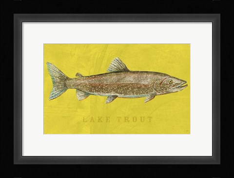 Framed Lake Trout Print