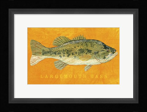 Framed Largemouth Bass Print