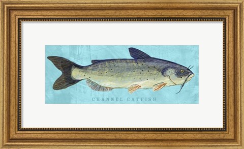 Framed Channel Catfish Print