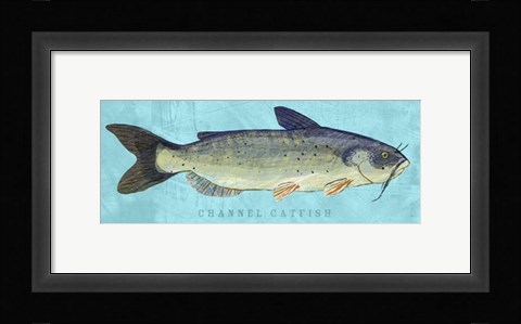Framed Channel Catfish Print
