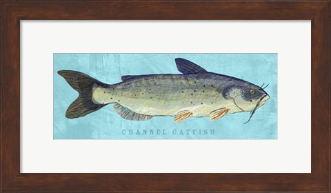 Framed Channel Catfish Print
