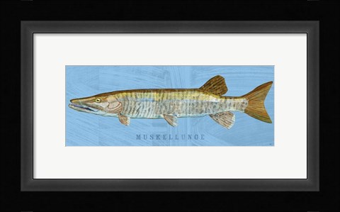 Framed Muskellunge Print