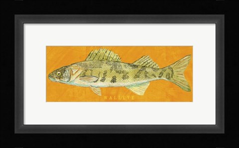 Framed Walleye Print
