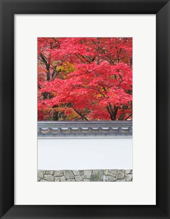 Framed Eikando Temple, Kyoto, Japan Print
