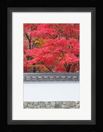 Framed Eikando Temple, Kyoto, Japan Print