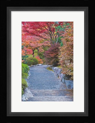 Framed Tenryuji Temple Garden, Sagano, Arashiyama, Kyoto, Japan Print
