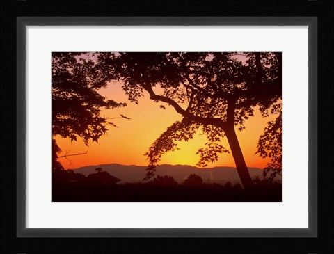 Framed Jojakkoji at Dawn, Arashiyama, Kyoto, Japan Print