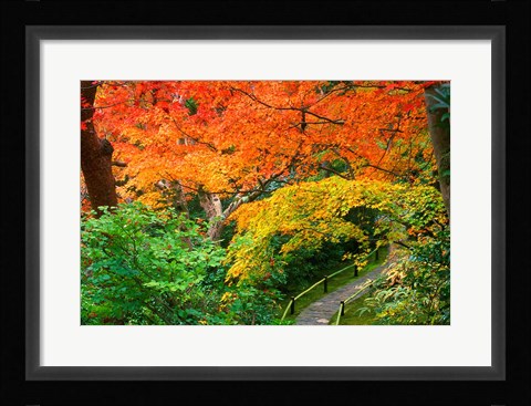 Framed Okochi Sanso, Kyoto, Japan Print