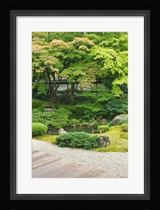 Framed Sennyuji Temple Garden, Kyoto, Japan Print