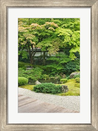 Framed Sennyuji Temple Garden, Kyoto, Japan Print
