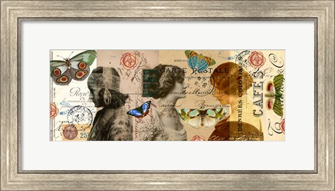 Framed Butterfly Beauties Print