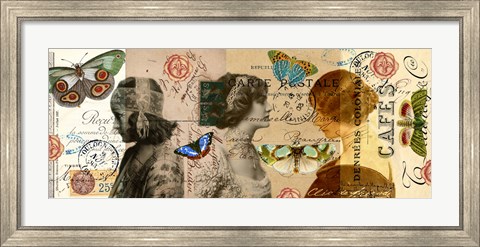 Framed Butterfly Beauties Print