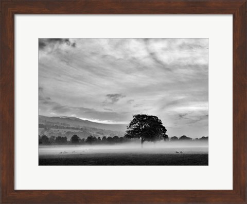 Framed Misty Weather IV Print