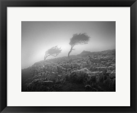 Framed Misty Weather VI Print