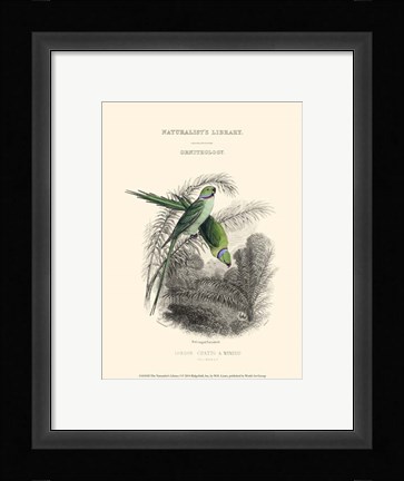 Framed Naturalist's Library I Print