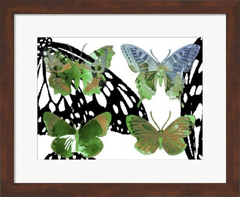 Framed Layered Butterflies V Print
