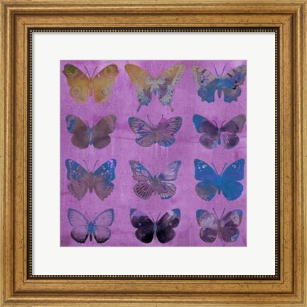 Framed Butterflies on Magenta Print