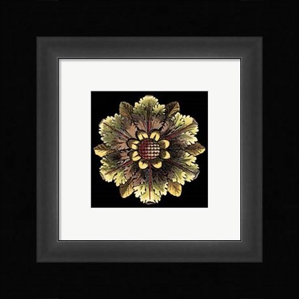 Framed Rosette on Black I Print