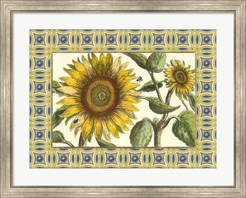 Framed Classical Sunflower I Print