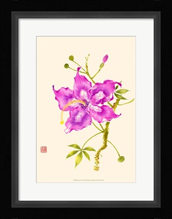 Framed Hibiscus Flower I Print