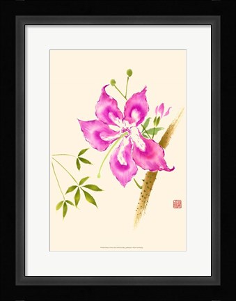 Framed Hibiscus Flower II Print