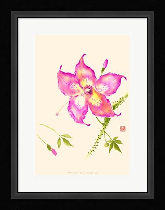Framed Hibiscus Flower III Print