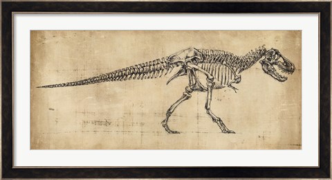 Framed Tyrannosaurus Rex Study Print