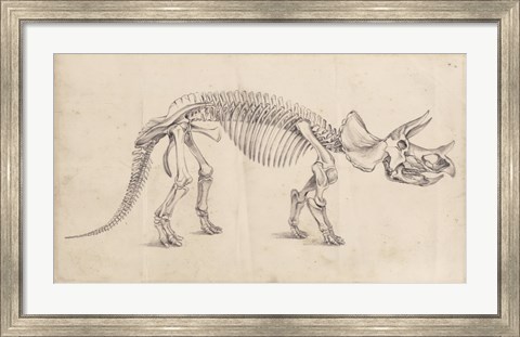 Framed Dinosaur Study II Print