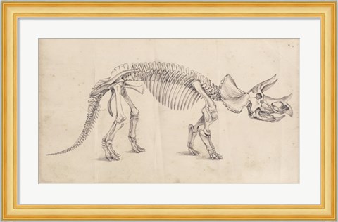 Framed Dinosaur Study II Print