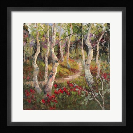 Framed Four Seasons Aspens I Print