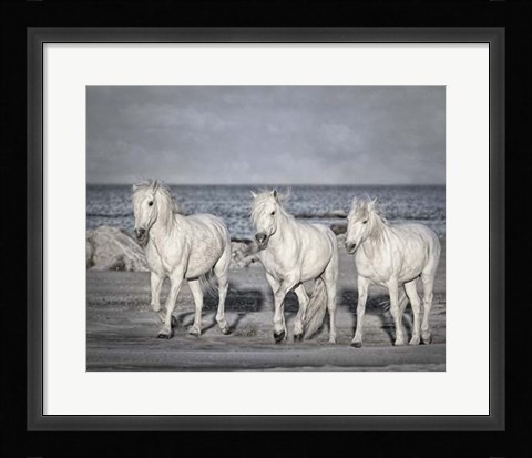 Framed Morning Run Print