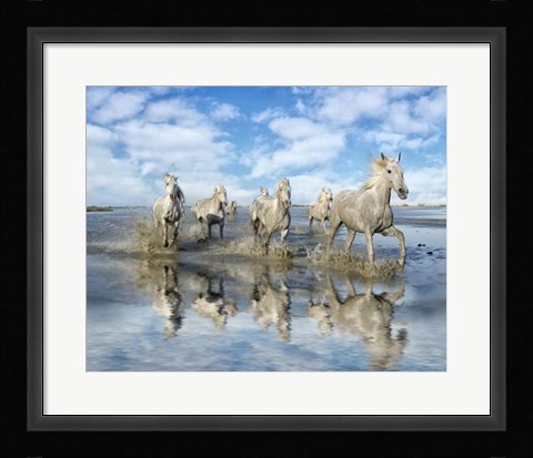 Framed On the Run Print