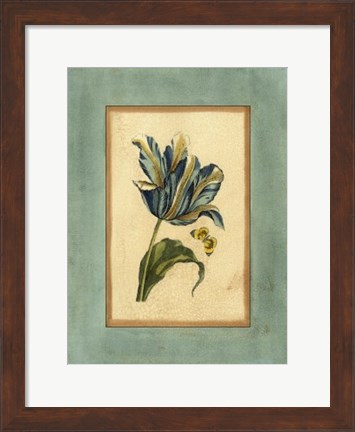 Framed Crackled Spa Blue Tulip II Print