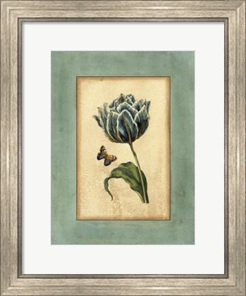 Framed Crackled Spa Blue Tulip IV Print