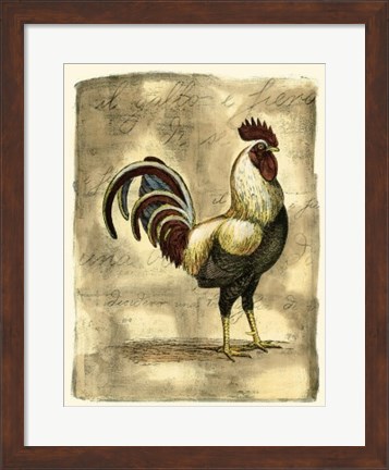 Framed Tuscany Rooster I Print