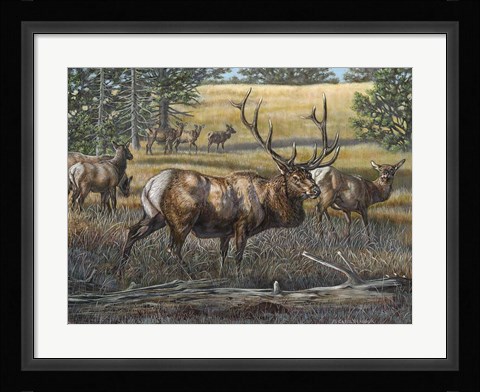 Framed His Majesty Print