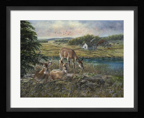 Framed Evening Shadows Print