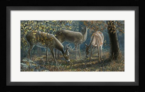 Framed Morning Chatter Print