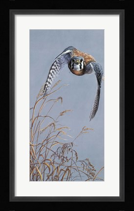 Framed Prairie Lighting Print