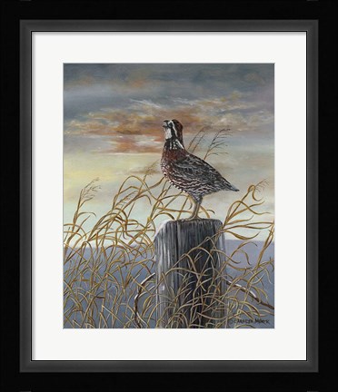 Framed Quail on a Post Print