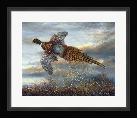 Framed Taking Flight Print