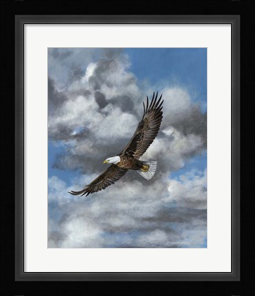 Framed Soaring Print