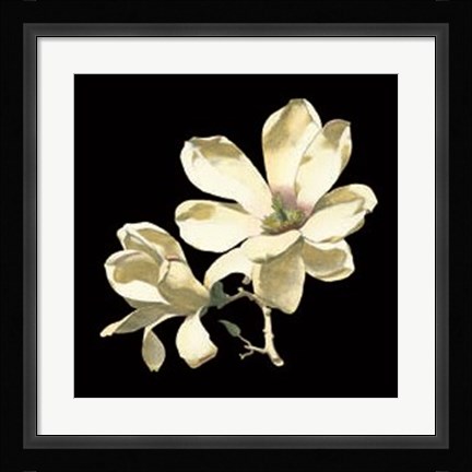 Framed Midnight Magnolias I Print