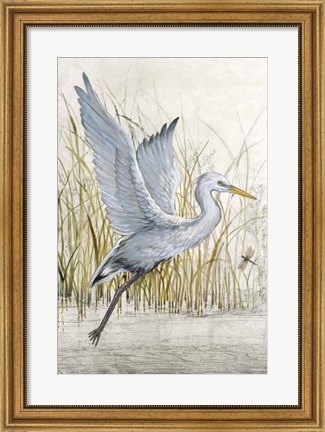 Framed Heron Sanctuary I Print