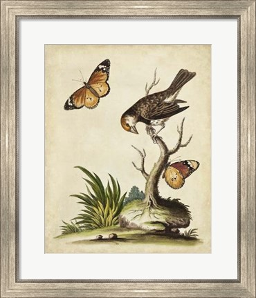 Framed Companions in Nature II Print