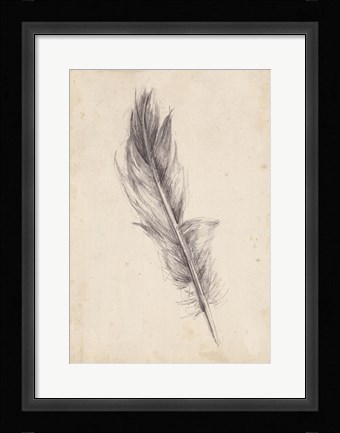 Framed Feather Sketch IV Print